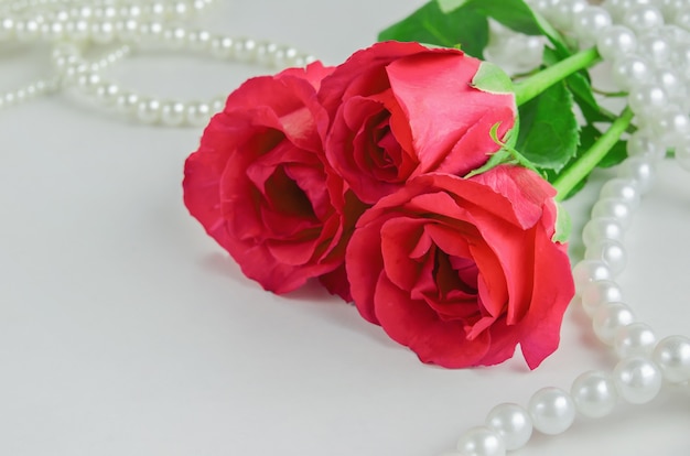 Close up of red rose flowers with white pearls necklace | Premium ...