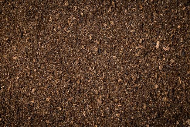 Premium Photo Close Up Soil Peat Moss Dirty Background And Texture