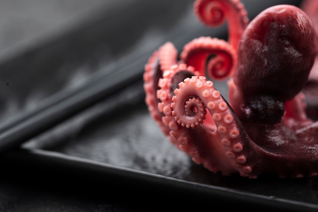 Free Photo | Close-up of squid on plate