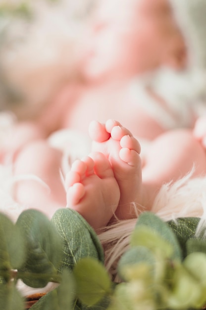 Closeup Of Tiny Baby Feet Fre