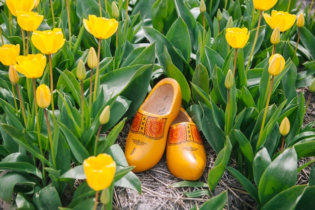 yellow wooden clogs