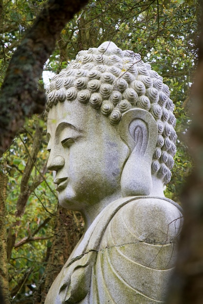 Close up view of a beautiful buddha  statue on a park 