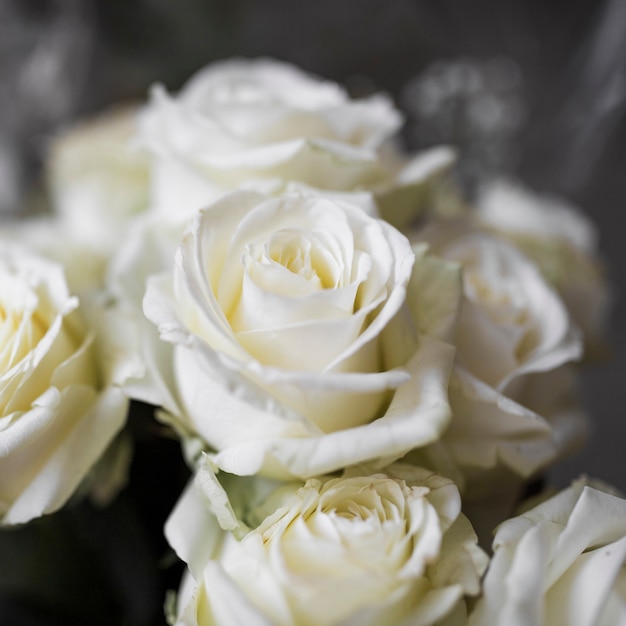 Free Photo | Close-up of white roses