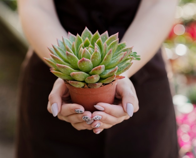 Close-up woman holding small plant pot Free Photo
