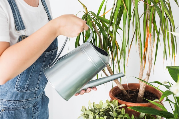 Close-up of a woman's hand pouring water in potted plant | Free Photo