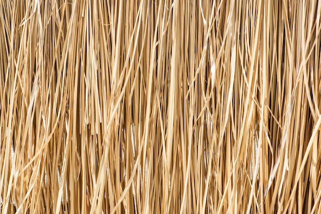 Premium Photo | Close up yellow straw wall texture background