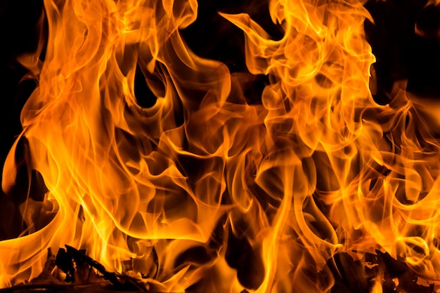 Premium Photo Closeup Forest Fire For Background