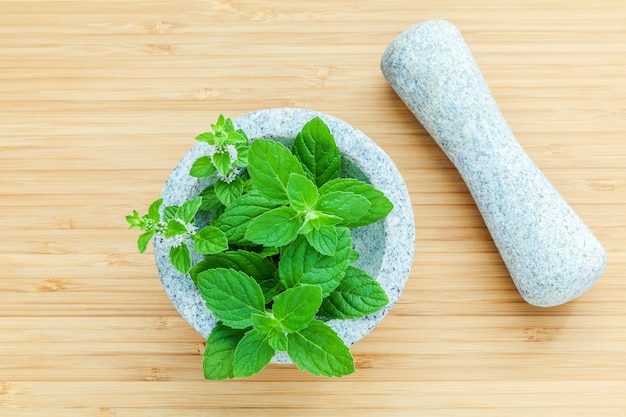 Premium Photo | Closeup fresh peppermint leaves in the white mortar on ...