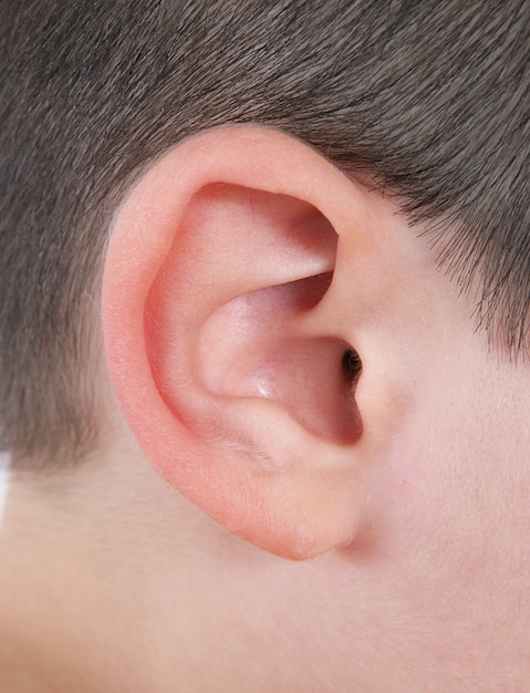 Human Ear Wallpaper