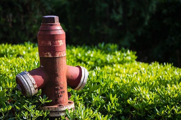 Premium Photo Closeup Overhead Red Pressurized Fire Hydrant