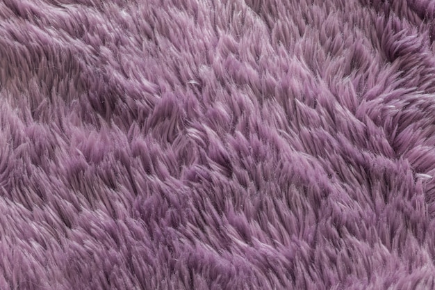 Premium Photo | Closeup purple carpet texture background