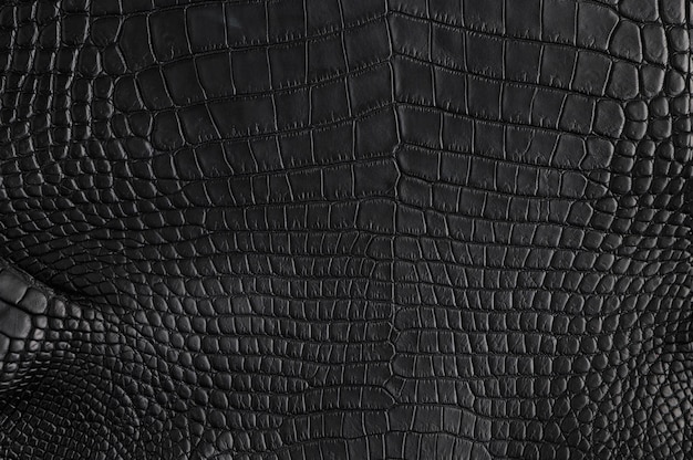 Premium Photo | Closeup of seamless crocodile black leather texture for ...