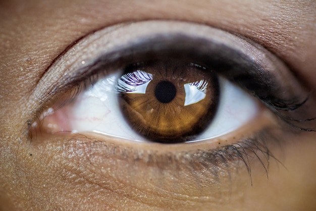 Closeup shot of a beautiful brown eye | Free Photo