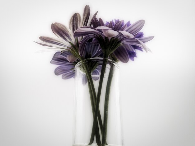 分離されたガラスの花瓶の美しい花の花束のクローズアップショット 無料の写真