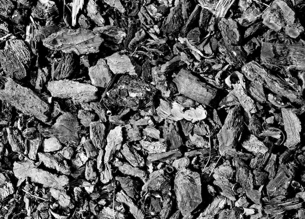 Coal pieces texture