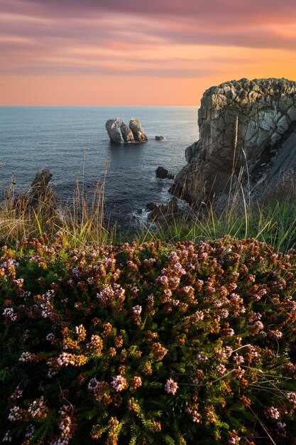 Premium Photo | Coastal landscape at sunset from a cliff