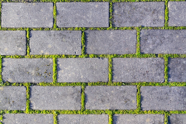 継ぎ目の緑の草と石畳のクローズアップ 古い石畳のテクスチャ背景 プレミアム写真