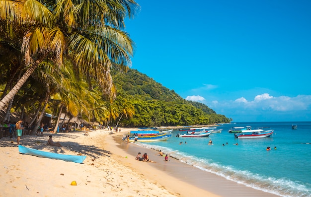 Premium Photo | Cocalito beach in punta de sal, tena