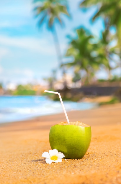 Premium Photo Coconut On A Beach Cocktail