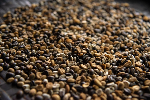 Premium Photo Coffee Drying Process