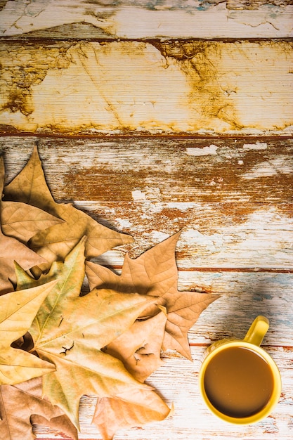 Free Photo | Coffee near dried leaves