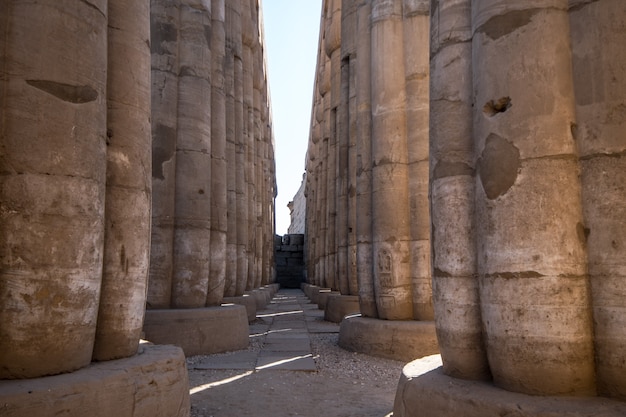 Premium Photo | Colonnade in luxor temple