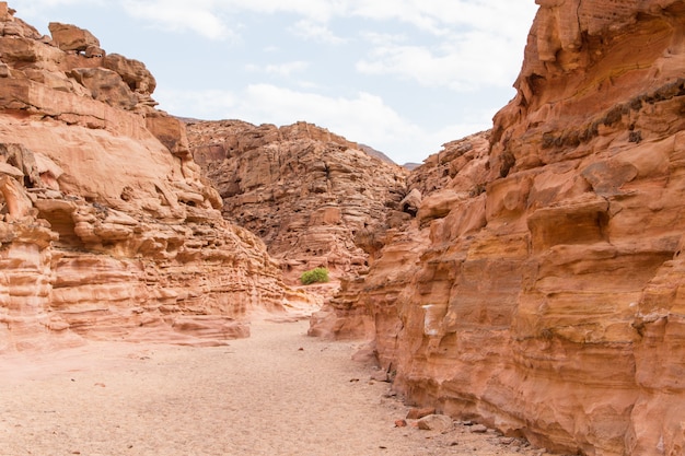 Premium Photo | Colored canyon with red rocks. egypt, desert, the sinai ...