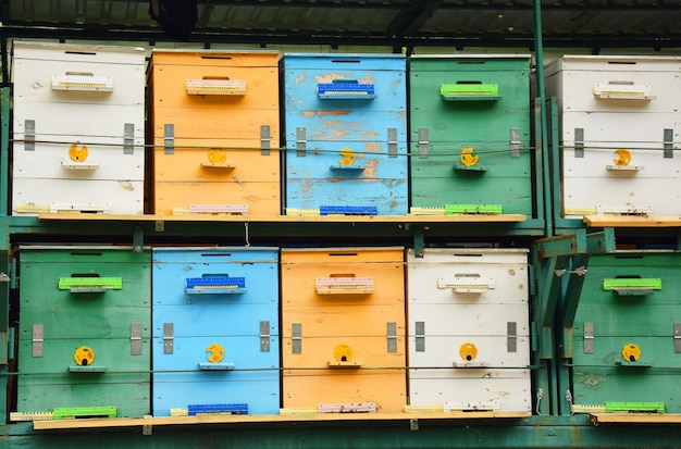 Premium Photo | Colorful apiary set close up