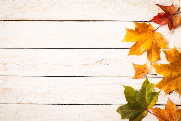 Premium Photo | Colorful autumn leaves on white rustic background.