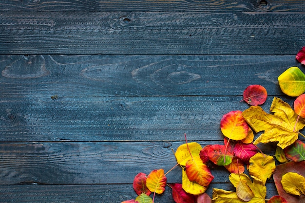Premium Photo | Colorful autumn leaves, over a wooden background