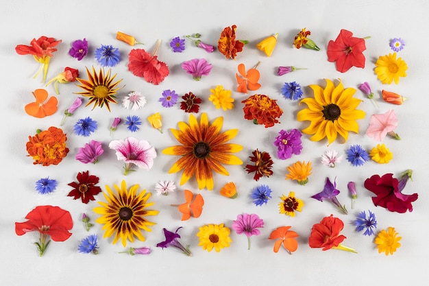 カラフルな花柄 灰色の背景に多色の自然の花 あなたのデザインのテンプレートトップビューフラットレイアウト プレミアム写真