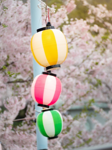 Premium Photo | Colorful japanese paper lanterns are installed at the ...