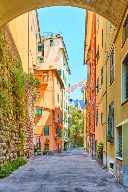 Premium Photo | Colorful old street in genoa (genova) on sunny summer ...