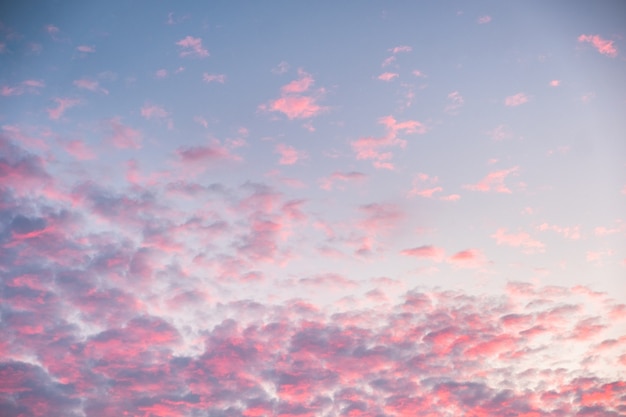 Premium Photo Colorful Pink Clouds On Blue Sky At Dusk