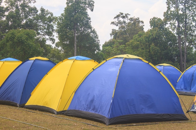 Platform and ground tarp to keep your tent off the ground 