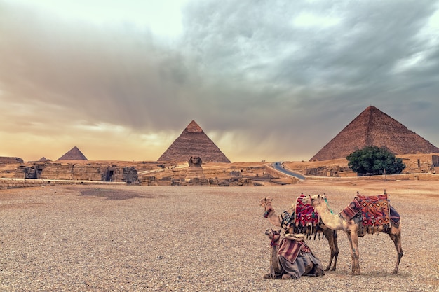 Premium Photo | Complex of giza pyramids and the sphinx in the desert ...