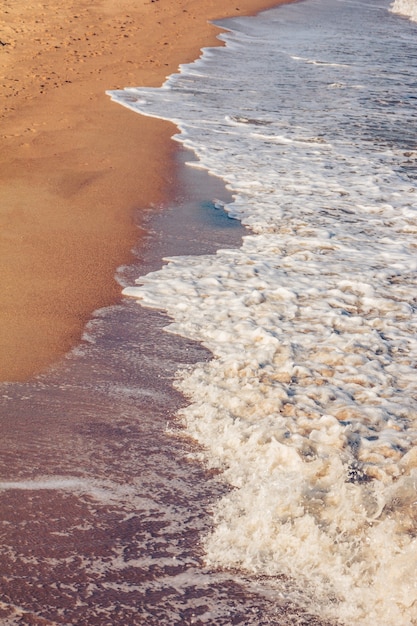 Premium Photo | Composition of beach sand with sea water