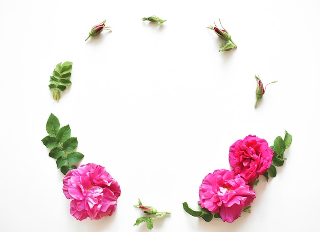 Download Free Composition Of Flowers Frame Of Pink Flowers On A White Use our free logo maker to create a logo and build your brand. Put your logo on business cards, promotional products, or your website for brand visibility.