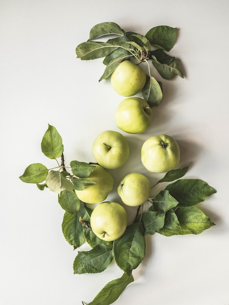 Download Free Composition Of Green Apples And Leaves On A White Background Wallpaper Of Fruits Top View Flat Lay Premium Photo Use our free logo maker to create a logo and build your brand. Put your logo on business cards, promotional products, or your website for brand visibility.