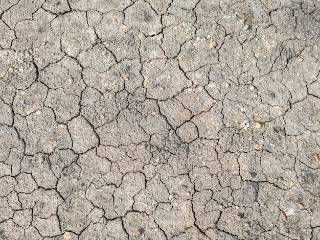 Premium Photo | Concept of hungry thirsty and hot. dry dirt ground of ...