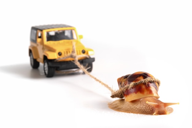 Brilliant ideas thread. Concept-sluggish-business-snail-achatina-pulls-trailer-car_145577-191