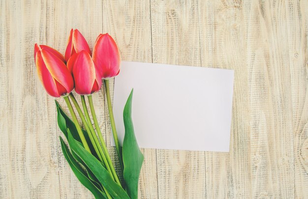 Premium Photo | Congratulations and tulips on a light background