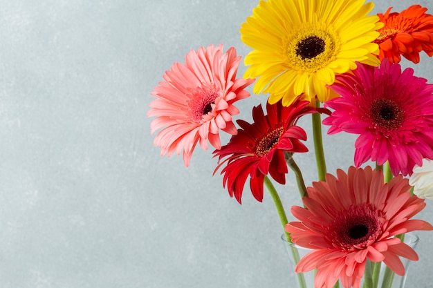 Copy space background with gerbera flowers Free Photo