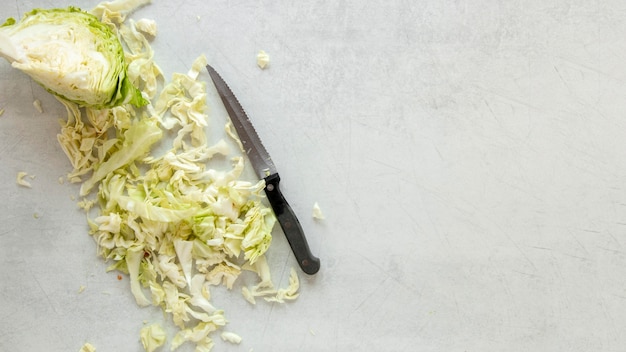 Copy-space cabbage for salad Free Photo