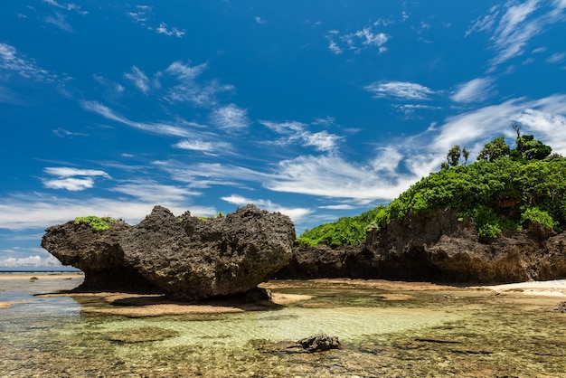 Premium Photo | Coral platform at low tide forming natural sea pool