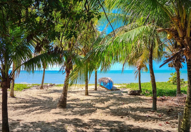 Premium Photo | Coroa vermelha beach in porto seguro, bahia - tourism ...