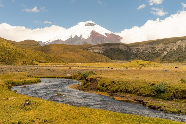 Premium Photo | The cotopaxi volcano and a winding river