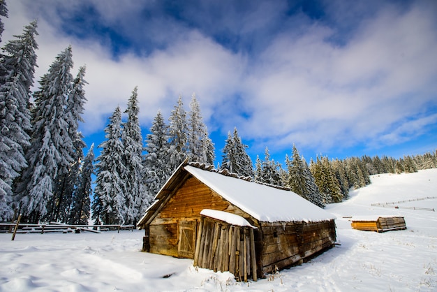 Premium Photo | Cottage in the mountains