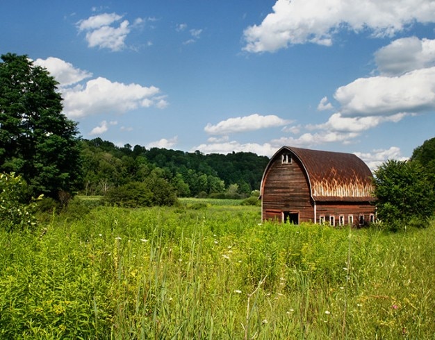 Country brown farm | Free Photo