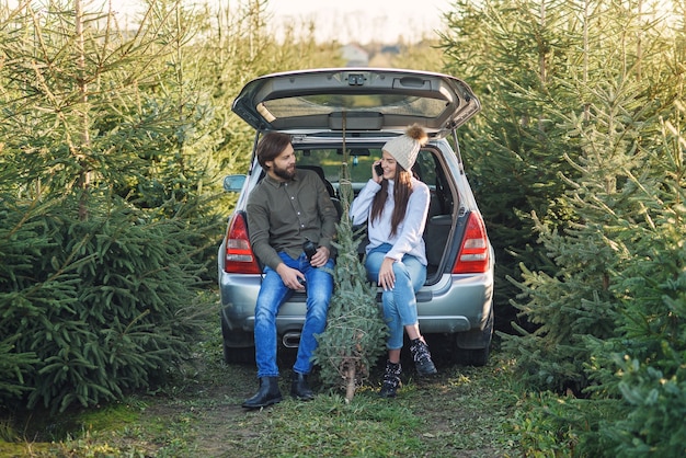 Premium Photo Couple In Love Loading Freshly Cut Down Christmas Tree Into A Trunk Of Their Car